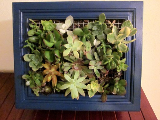 vertical succulent planter